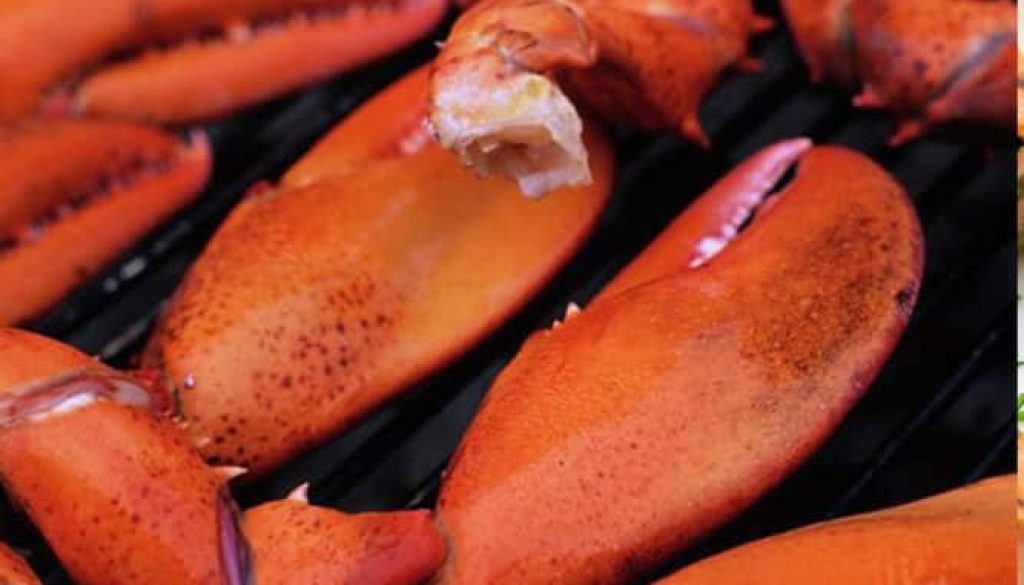 grilled-lobster-claws