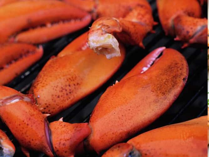 Grilled Lobster Claws | Grilling Explained