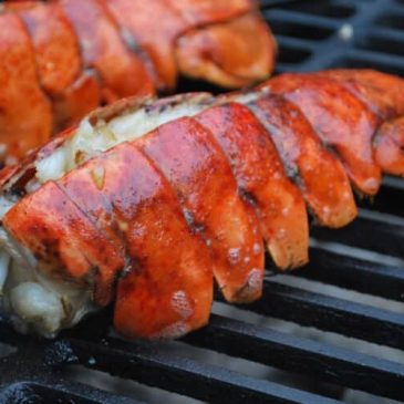 grilled-rock-lobster-tail