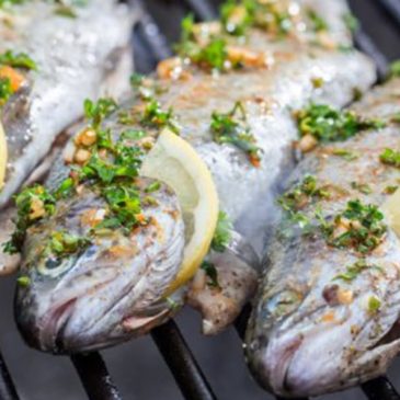 basil-rosemary-grilled-trout