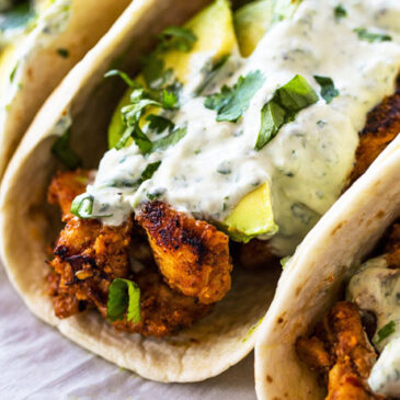 grilled-chicken-tacos-with-avocado-cilantro-sauce