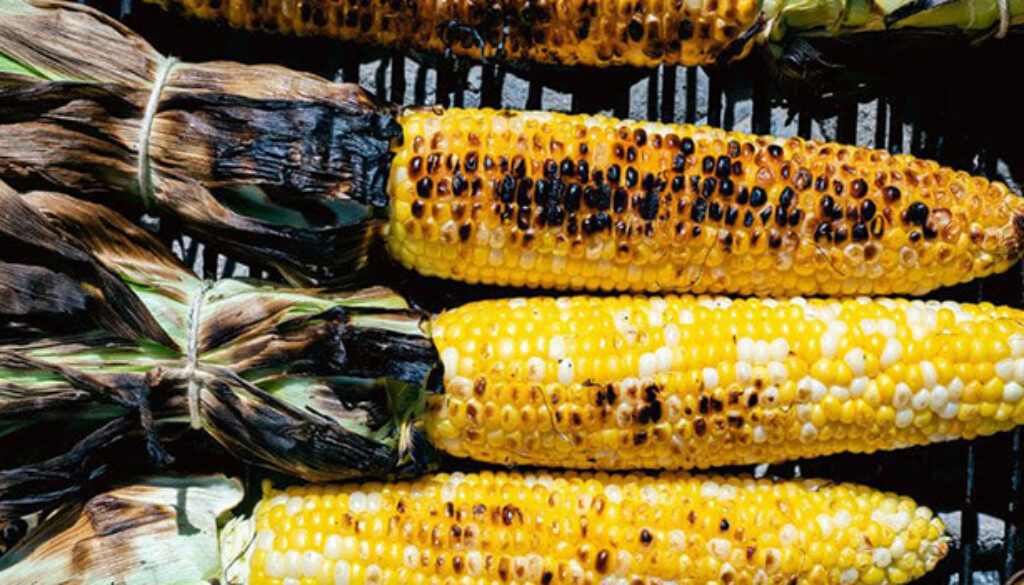 juicy-grilled-corn-on-the-cob